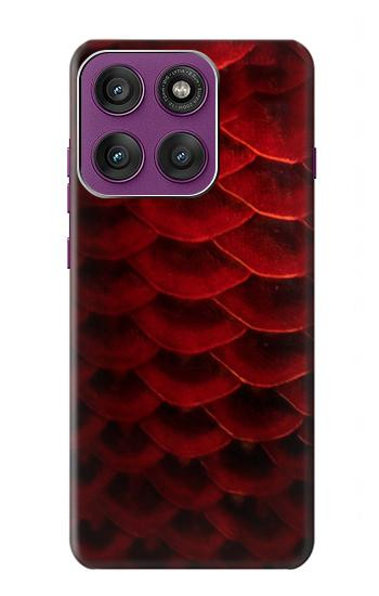 S2879 Red Arowana Fish Scale Hülle Schutzhülle Taschen für Motorola Edge 60 Pro