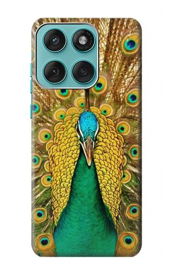 S0513 Peacock Hülle Schutzhülle Taschen für Motorola Edge 60 Fusion