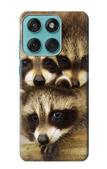 S0977 Baby Raccoons Hülle Schutzhülle Taschen für Motorola Edge 60 Fusion