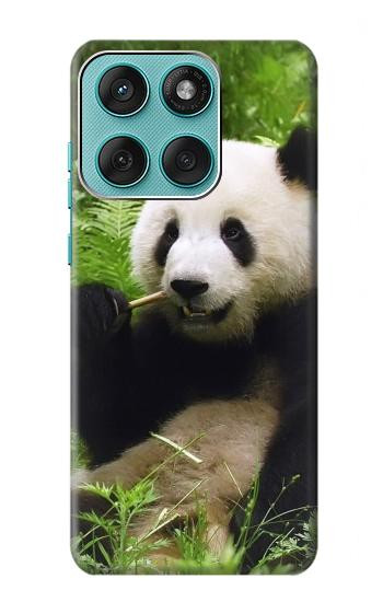 S1073 Panda Enjoy Eating Hülle Schutzhülle Taschen für Motorola Edge 60 Fusion