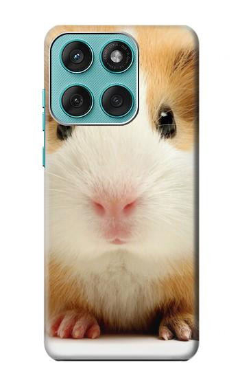 S1619 Cute Guinea Pig Hülle Schutzhülle Taschen für Motorola Edge 60 Fusion