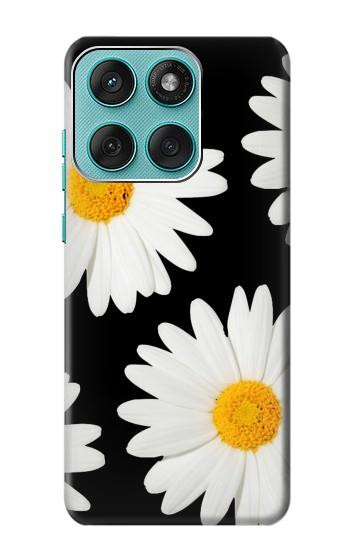 S2477 Daisy flower Hülle Schutzhülle Taschen für Motorola Edge 60 Fusion