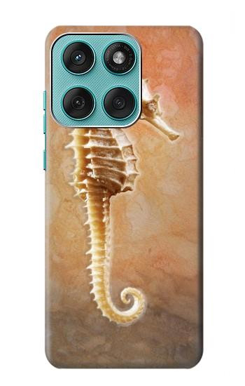S2674 Seahorse Skeleton Fossil Hülle Schutzhülle Taschen für Motorola Edge 60 Fusion