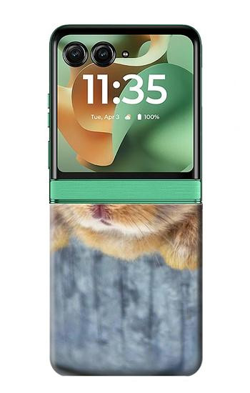 S0242 Cute Rabbit Hülle Schutzhülle Taschen für Motorola Razr 70+,60+, Razr+ (2026, 2025, 2024)