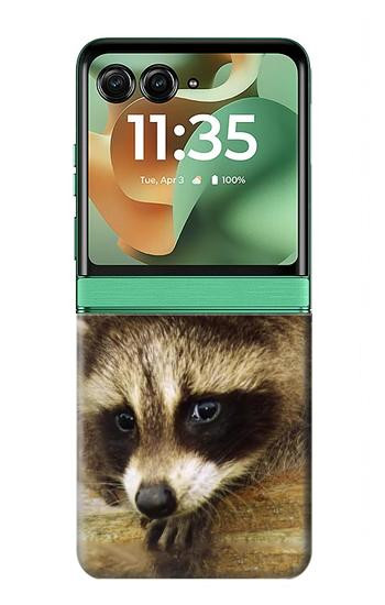 S0977 Baby Raccoons Hülle Schutzhülle Taschen für Motorola Razr 70+,60+, Razr+ (2026, 2025, 2024)