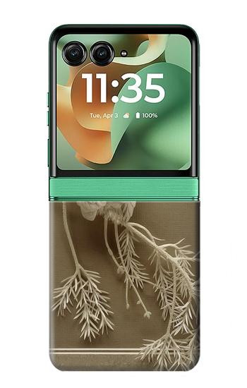 S1386 Paper Sculpture Owl Hülle Schutzhülle Taschen für Motorola Razr 60, Razr 2025