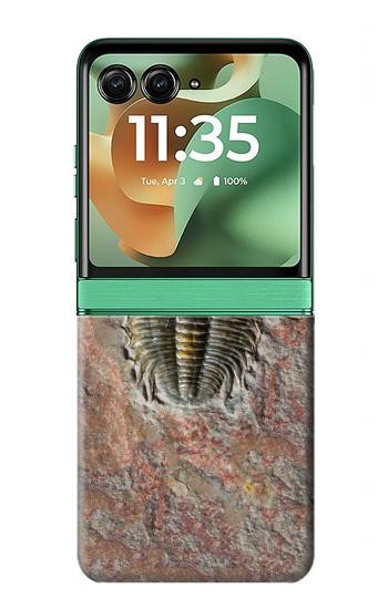 S1454 Trilobite Fossil Hülle Schutzhülle Taschen für Motorola Razr 60, Razr 2025