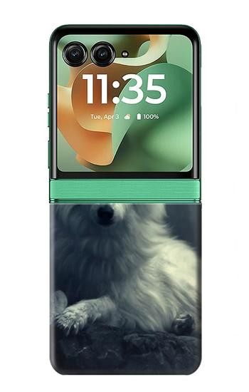 S1516 White Wolf Hülle Schutzhülle Taschen für Motorola Razr 70+,60+, Razr+ (2026, 2025, 2024)
