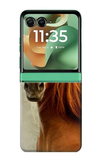 S1595 Beautiful Brown Horse Hülle Schutzhülle Taschen für Motorola Razr 70+,60+, Razr+ (2026, 2025, 2024)