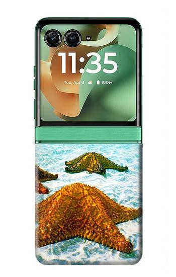 S1679 Starfish Sea Beach Hülle Schutzhülle Taschen für Motorola Razr 70+,60+, Razr+ (2026, 2025, 2024)