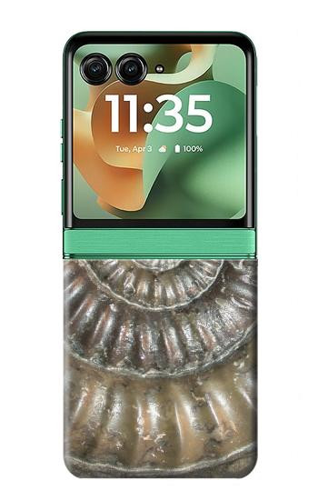 S1788 Ammonite Fossil Hülle Schutzhülle Taschen für Motorola Razr 70+,60+, Razr+ (2026, 2025, 2024)