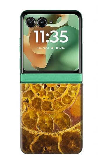 S1789 Ammonite Fossils Hülle Schutzhülle Taschen für Motorola Razr 60, Razr 2025