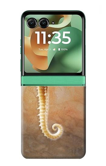 S2674 Seahorse Skeleton Fossil Hülle Schutzhülle Taschen für Motorola Razr 70+,60+, Razr+ (2026, 2025, 2024)