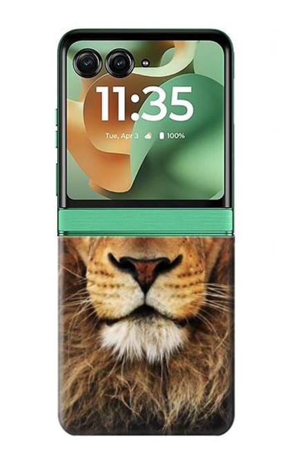 S2870 Lion King of Beasts Hülle Schutzhülle Taschen für Motorola Razr 60, Razr 2025