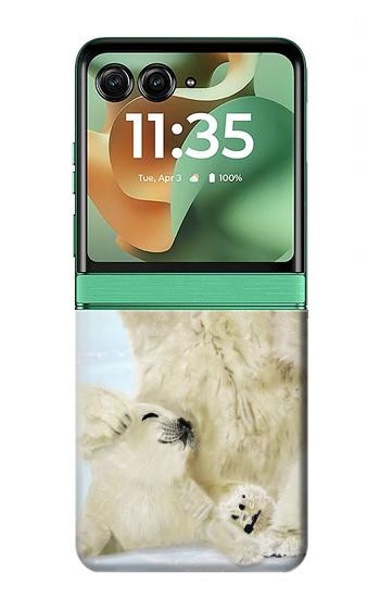 S3794 Arctic Polar Bear and Seal Paint Hülle Schutzhülle Taschen für Motorola Razr 70+,60+, Razr+ (2026, 2025, 2024)