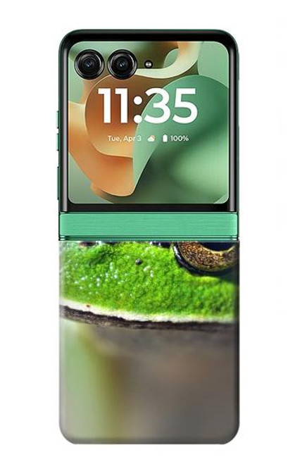 S3845 Green frog Hülle Schutzhülle Taschen für Motorola Razr 60, Razr 2025