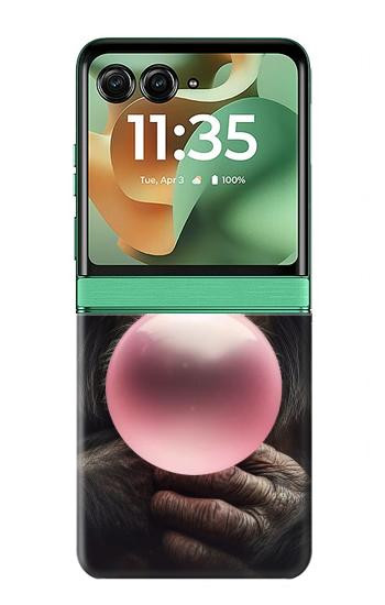 S3973 Chimpanzee Blowing Pink Bubblegum Hülle Schutzhülle Taschen für Motorola Razr 70+,60+, Razr+ (2026, 2025, 2024)