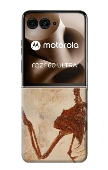 S0379 Dinosaur Fossil Hülle Schutzhülle Taschen für Motorola Razr 60 Ultra, Razr Ultra 2025