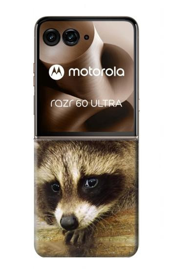 S0977 Baby Raccoons Hülle Schutzhülle Taschen für Motorola Razr 60 Ultra, Razr Ultra 2025