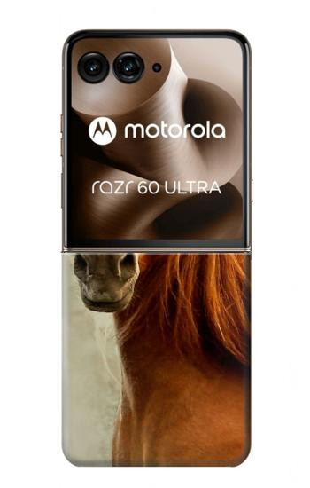 S1595 Beautiful Brown Horse Hülle Schutzhülle Taschen für Motorola Razr 60 Ultra, Razr Ultra 2025