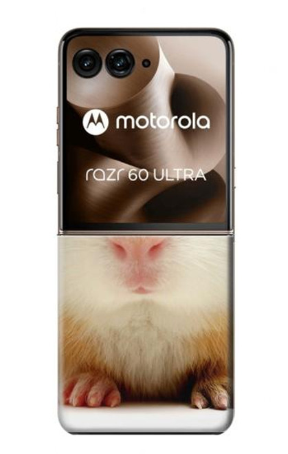 S1619 Cute Guinea Pig Hülle Schutzhülle Taschen für Motorola Razr 60 Ultra, Razr Ultra 2025