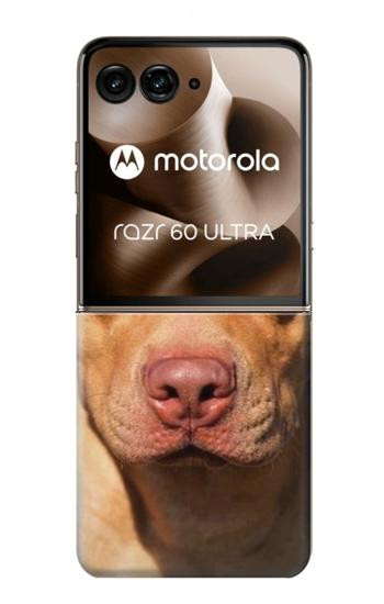 S2903 American Pitbull Dog Hülle Schutzhülle Taschen für Motorola Razr 70 Ultra, 60 Ultra, 50 Ultra, Ultra 2026, Ultra 2025