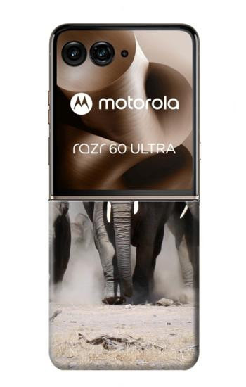 S3142 African Elephant Hülle Schutzhülle Taschen für Motorola Razr 70 Ultra, 60 Ultra, 50 Ultra, Ultra 2026, Ultra 2025