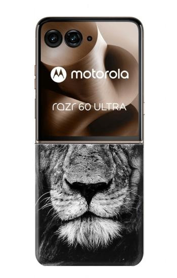 S3372 Lion Face Hülle Schutzhülle Taschen für Motorola Razr 70 Ultra, 60 Ultra, 50 Ultra, Ultra 2026, Ultra 2025