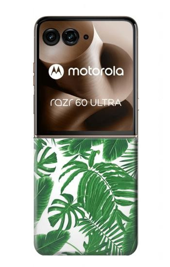 S3457 Paper Palm Monstera Hülle Schutzhülle Taschen für Motorola Razr 70 Ultra, 60 Ultra, 50 Ultra, Ultra 2026, Ultra 2025