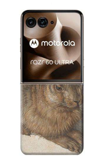 S3781 Albrecht Durer Young Hare Hülle Schutzhülle Taschen für Motorola Razr 70 Ultra, 60 Ultra, 50 Ultra, Ultra 2026, Ultra 2025