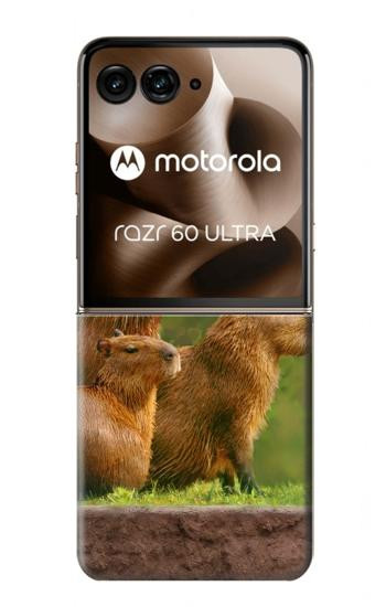 S3917 Capybara Family Giant Guinea Pig Hülle Schutzhülle Taschen für Motorola Razr 70 Ultra, 60 Ultra, 50 Ultra, Ultra 2026, Ultra 2025