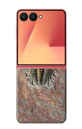 S1454 Trilobite Fossil Hülle Schutzhülle Taschen für Samsung Galaxy Z Flip 7