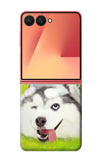 S3795 Kitten Cat Playful Siberian Husky Dog Paint Hülle Schutzhülle Taschen für Samsung Galaxy Z Flip 7