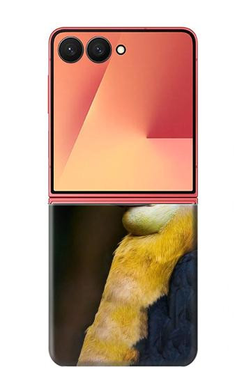 S3876 Colorful Hornbill Hülle Schutzhülle Taschen für Samsung Galaxy Z Flip 7