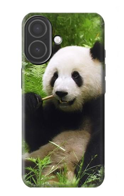 S1073 Panda Enjoy Eating Hülle Schutzhülle Taschen für iPhone 17