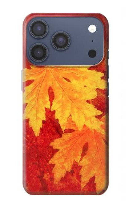 S0479 Maple Leaf Hülle Schutzhülle Taschen für iPhone 17 Pro