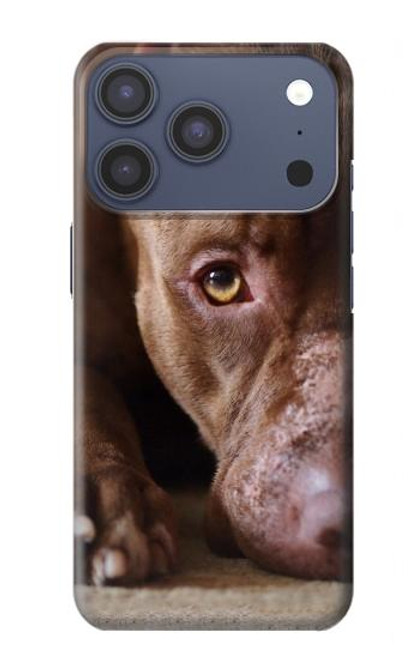 S0519 PitBull Face Hülle Schutzhülle Taschen für iPhone 17 Pro