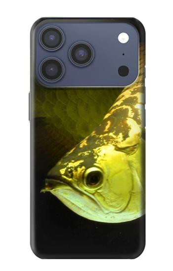 S1021 Gold Arowana Fish Hülle Schutzhülle Taschen für iPhone 17 Pro, 18 Pro