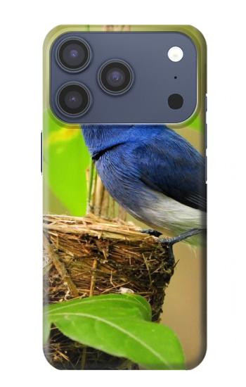 S3839 Bluebird of Happiness Blue Bird Hülle Schutzhülle Taschen für iPhone 17 Pro, 18 Pro