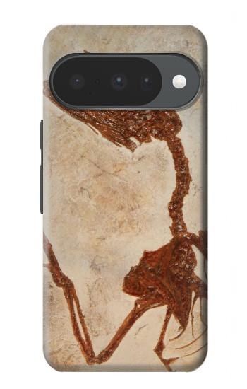 S0379 Dinosaur Fossil Hülle Schutzhülle Taschen für Google Pixel 10, 10 Pro