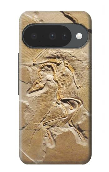 S0380 Dinosaur Fossil Hülle Schutzhülle Taschen für Google Pixel 10, 10 Pro