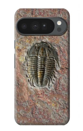 S1454 Trilobite Fossil Hülle Schutzhülle Taschen für Google Pixel 10 Pro XL