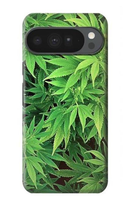 S1656 Marijuana Plant Hülle Schutzhülle Taschen für Google Pixel 10 Pro XL