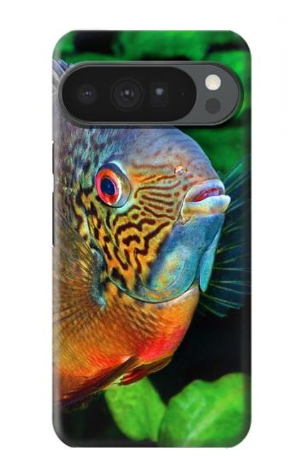 S1812 Cichlid Fish Hülle Schutzhülle Taschen für Google Pixel 10 Pro XL