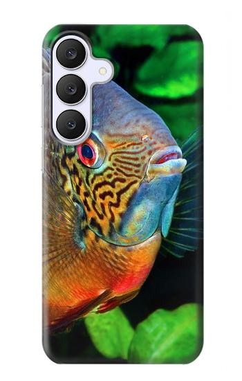 S1812 Cichlid Fish Hülle Schutzhülle Taschen für Samsung Galaxy S25 FE, S26 FE
