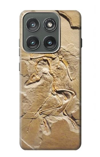 S0380 Dinosaur Fossil Hülle Schutzhülle Taschen für Motorola Edge (2025)