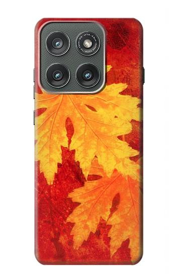 S0479 Maple Leaf Hülle Schutzhülle Taschen für Motorola Edge (2025)