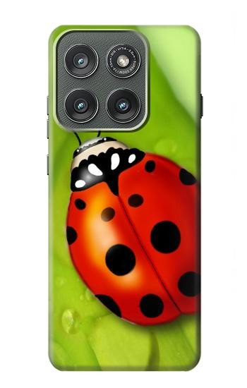 S0892 Ladybug Hülle Schutzhülle Taschen für Motorola Edge (2025)