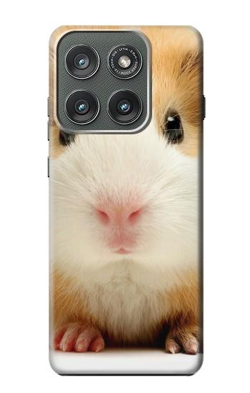 S1619 Cute Guinea Pig Hülle Schutzhülle Taschen für Motorola Edge (2025)