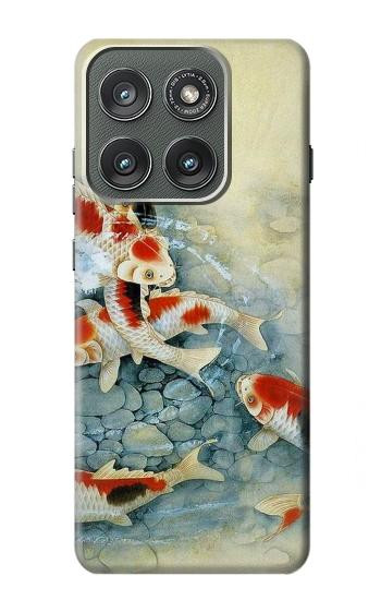 S1654 Koi Carp Fish Art Painting Hülle Schutzhülle Taschen für Motorola Edge (2025)